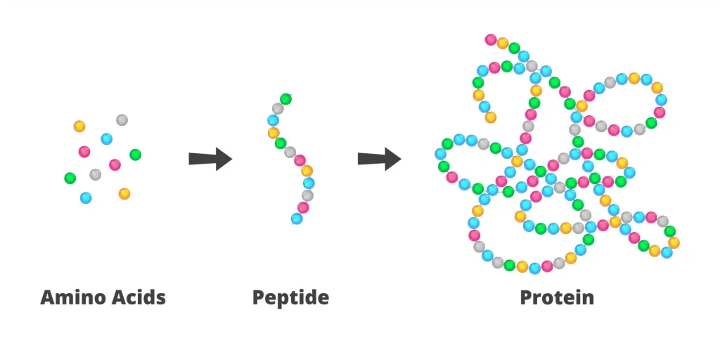 shop KPV at AZOTH Peptides
