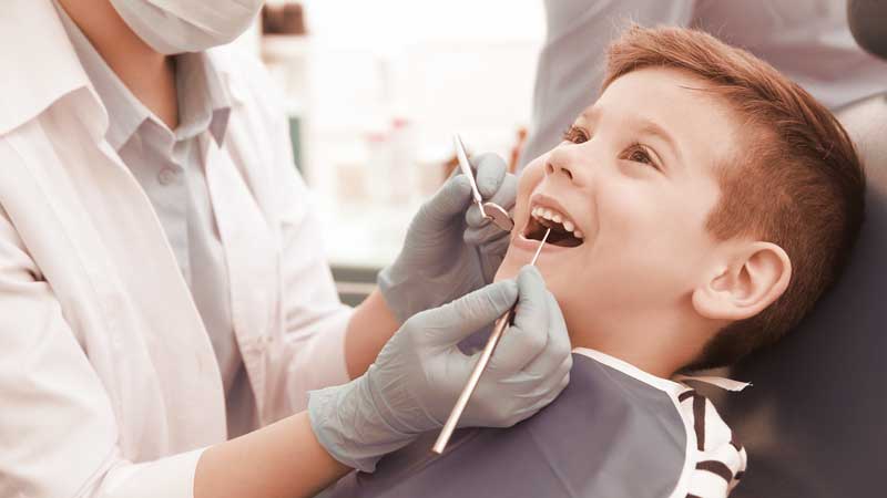How Your Dining Table Conversations Affect Chewing Efficiency and Practical Techniques to Improve Nutrient Absorption While Protecting Dental Surfaces